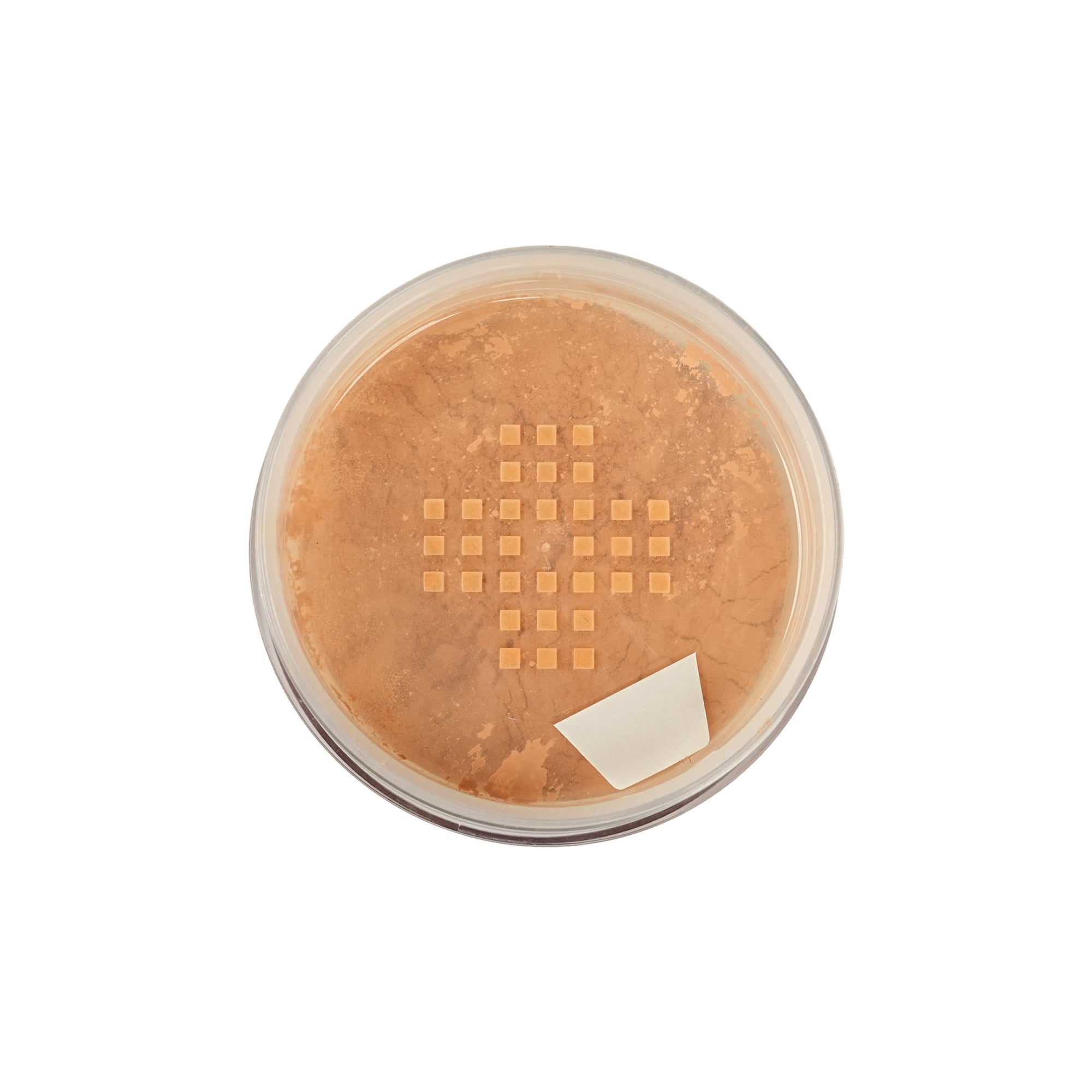 Translucent Powder
