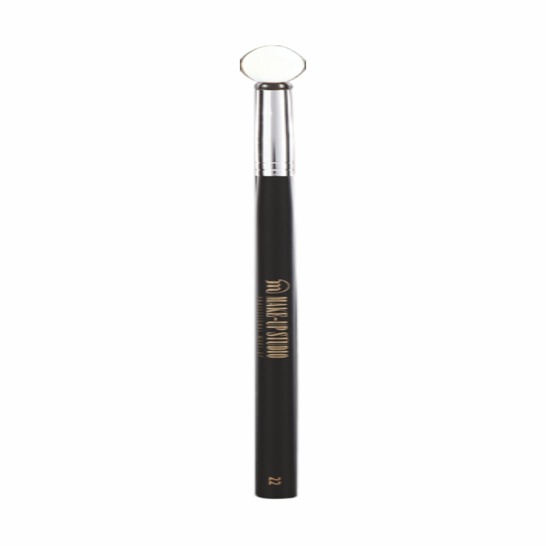 Make-Up Brush Pro Range No. 22