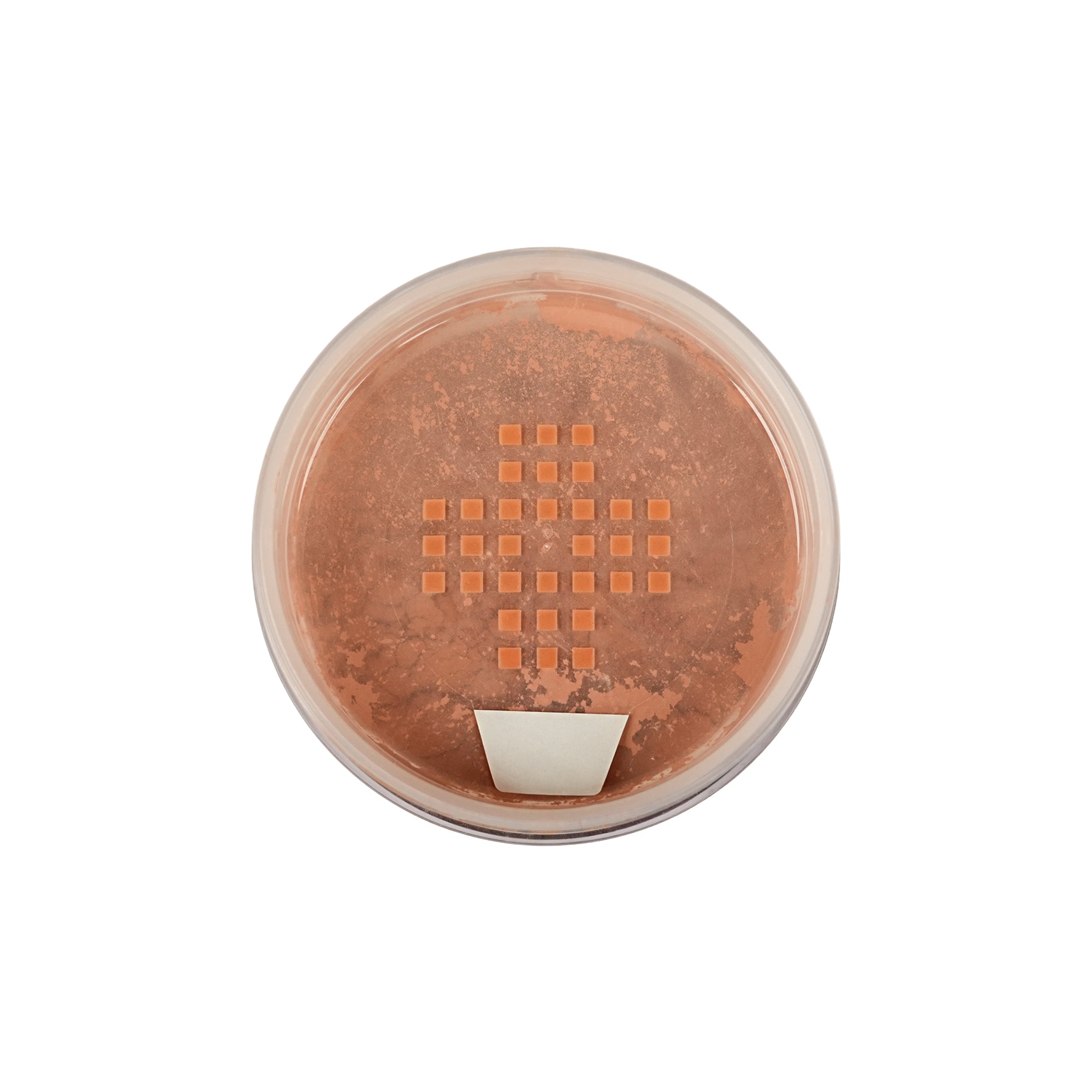 Translucent Powder